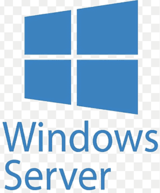 Windows Server Logo